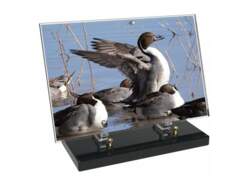 Chasse décor 3 avec texte