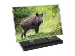 Chasse décor 11 avec texte