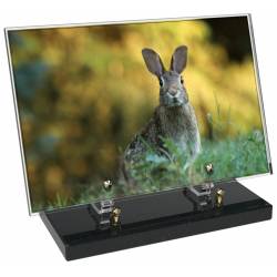 Chasse décor 5 avec texte