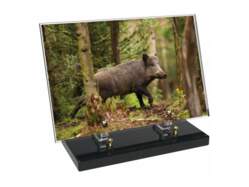 Chasse décor avec texte 25