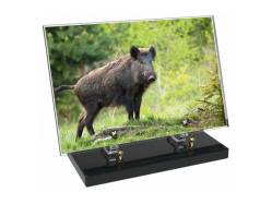 Chasse décor 11 avec texte
