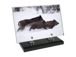 Chasse décor avec texte 27