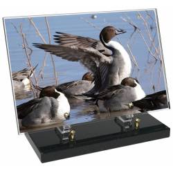 Chasse décor 3 avec texte