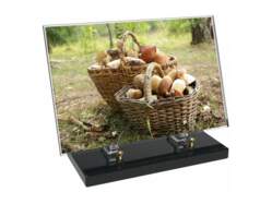 Passion décor 51 avec texte