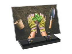 Jardin décor avec texte 24