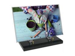 Jardin décor 6 avec texte