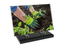 Jardin décor 11 avec texte