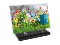 Jardin décor avec texte 19