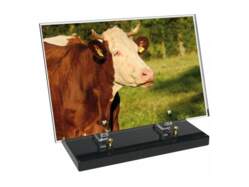 Agriculture décor avec texte 46