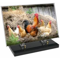 Agriculture décor avec texte 49