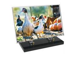 Animaux décor avec texte 10