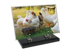 Animaux décor avec texte 8