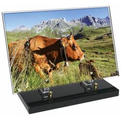 Agriculture décor avec texte 54