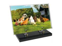 Animaux décor avec texte 6