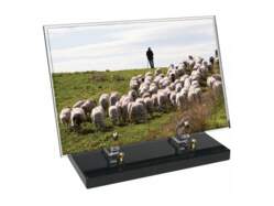 Agriculture décor avec texte 56