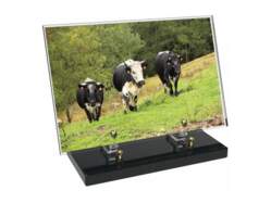 Animaux décor avec texte 30