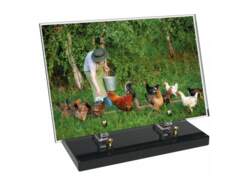 Animaux décor avec texte 5