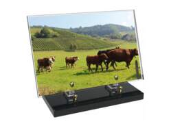 Agriculture décor avec texte 48