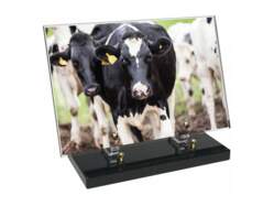 Agriculture décor avec texte 50