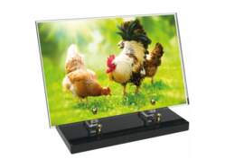 Animaux décor avec texte 1