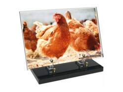 Animaux décor avec texte 2