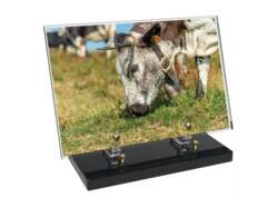 Animaux décor avec texte 28