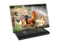 Agriculture décor avec texte 49