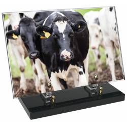 Agriculture décor avec texte 50