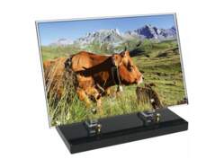 Agriculture décor avec texte 54