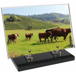 Agriculture décor avec texte 48