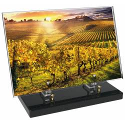 Vigne décor avec texte 22