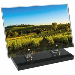 Vigne décor avec texte 18