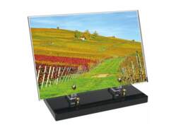 Vigne décor avec texte 11