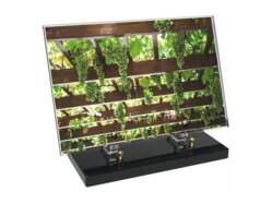 Vigne décor avec texte 8