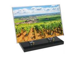 Vigne décor avec texte 17