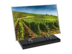 Vigne décor avec texte 23