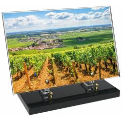 Vigne décor avec texte 17