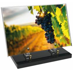 Vigne décor avec texte 21