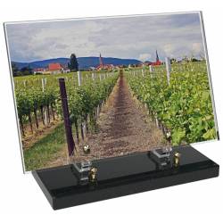 Vigne décor avec texte 9