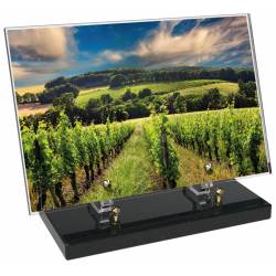 Vigne décor avec texte 20