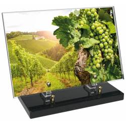 Vigne décor avec texte 19