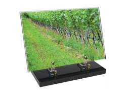 Vigne décor avec texte 4