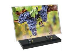 Vigne décor avec texte 13