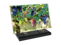 Vigne décor avec texte 10