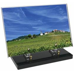 Vigne décor avec texte 1