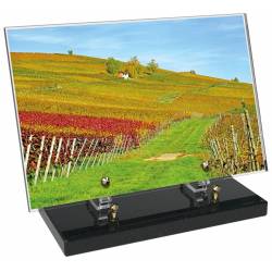 Vigne décor avec texte 11