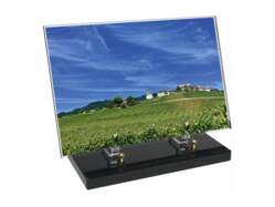 Vigne décor avec texte 1