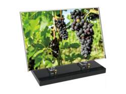 Vigne décor avec texte 3