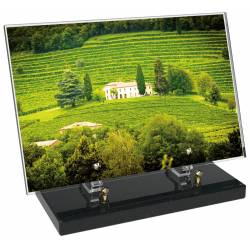 Vigne décor avec texte 5