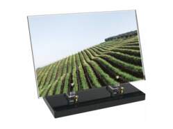 Vigne décor avec texte 7